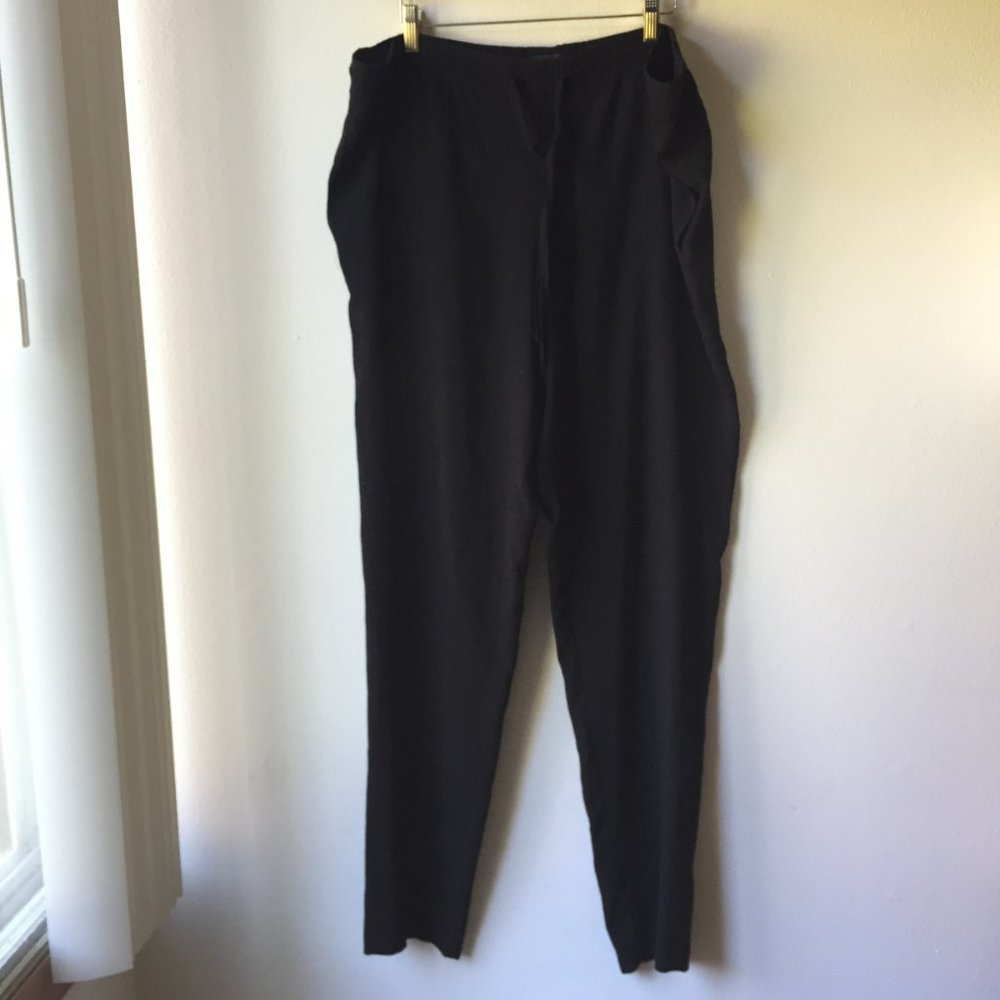 Aritzia T. Babaton Black Pants - Picture 2 of 12